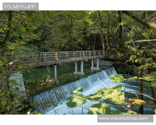 探索埃斯特旺的历史与文化魅力，感受独特风情与人文底蕴
